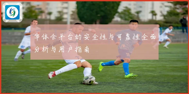 华体会平台的安全性与可靠性全面分析与用户指南