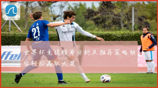 世界杯竞猜赔率分析及推荐策略助你轻松赢取大奖
