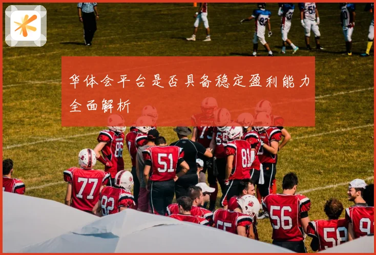 华体会平台是否具备稳定盈利能力全面解析